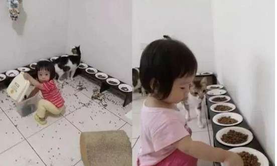 The cat just finished pooping and is hungry again? The little shit shoveling officer feeds the cat like a rich man