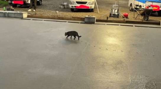 The newly paved cement road was trampled on, but the workers couldn't do anything about the criminals. Who let it go? It's just a cute little girl.