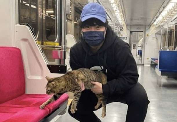 I found a cat on the subway. It was caught and tried to escape. It seemed like a fare evader!