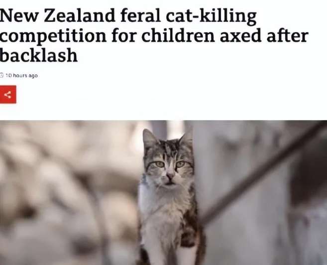 New Zealand holds wild cat hunting competition and encourages children to kill wild cats?