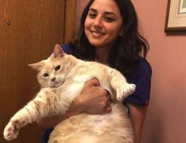Super fat cat went through health training and lost weight from 30 pounds to 16 pounds