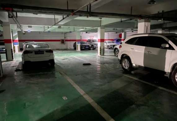 Sentence! The pet dog was hit and killed in an underground parking lot of a community in Kunming, and the owner's claim for 6,505 yuan was rejected...
